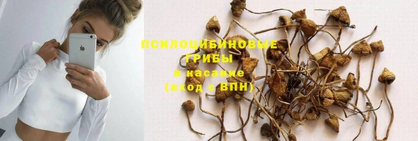 ПСИЛОЦИБИНОВЫЕ ГРИБЫ Абдулино