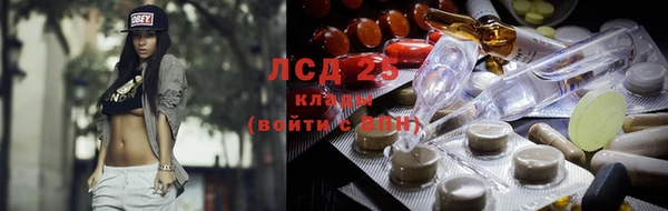 ПСИЛОЦИБИНОВЫЕ ГРИБЫ Абдулино