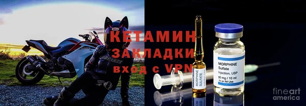 трава Абаза