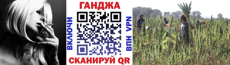Канабис сатива  как найти закладки  Александров 